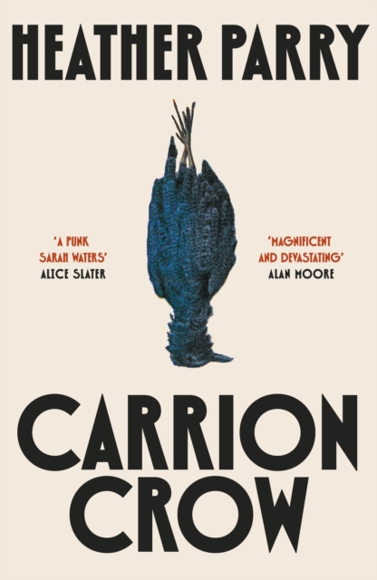 Carrion Crow