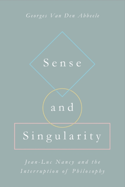 Sense and Singularity