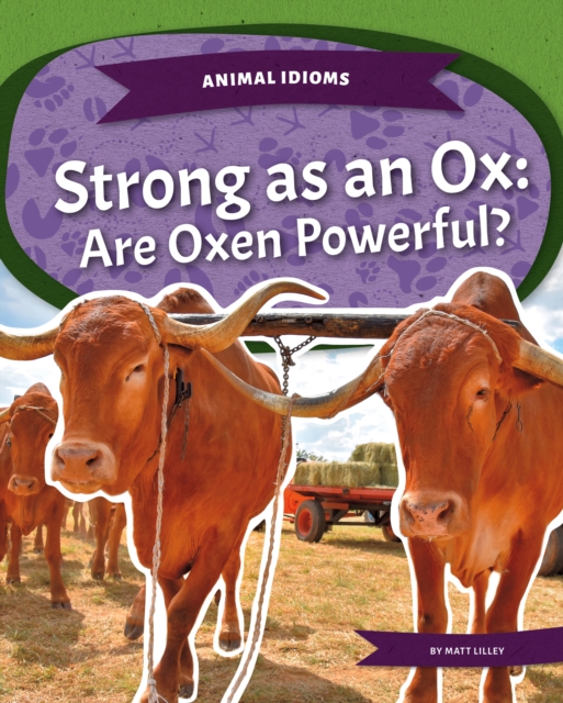Strong as an Ox: Are Oxen Powerful?