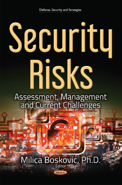 Security Risks