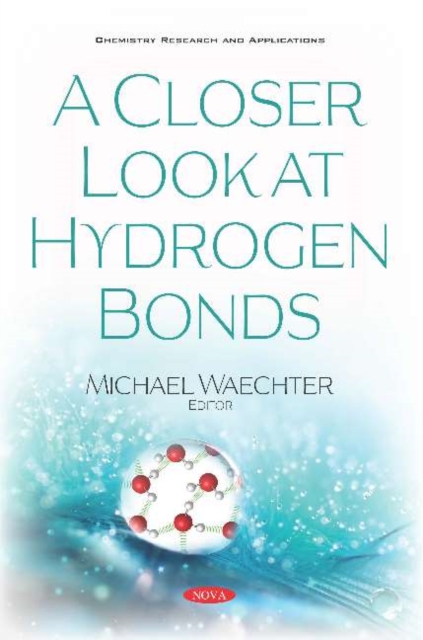 Closer Look at Hydrogen Bonds
