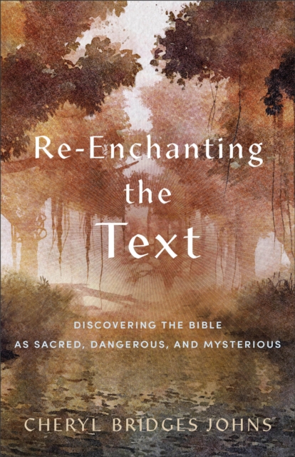 Re-enchanting the Text - Discovering the Bible as Sacred, Dangerous, and Mysterious