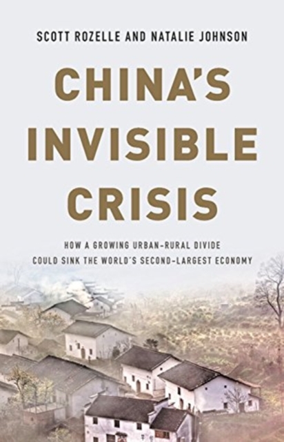 China's Invisible Crisis