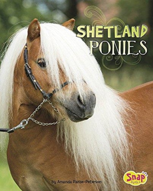 Horse Breeds: Shetland Ponies