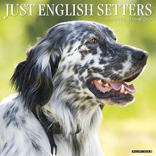 Just English Setters 2020 Wall Calendar (Dog Breed Calendar)
