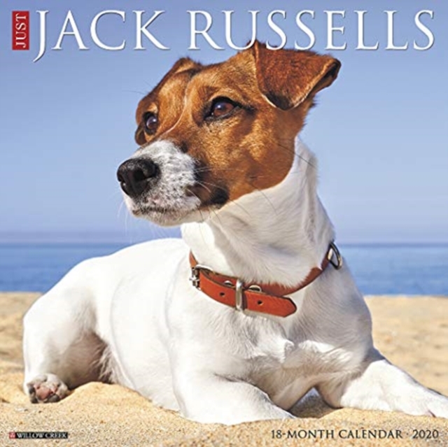 Just Jack Russells 2020 Wall Calendar (Dog Breed Calendar)