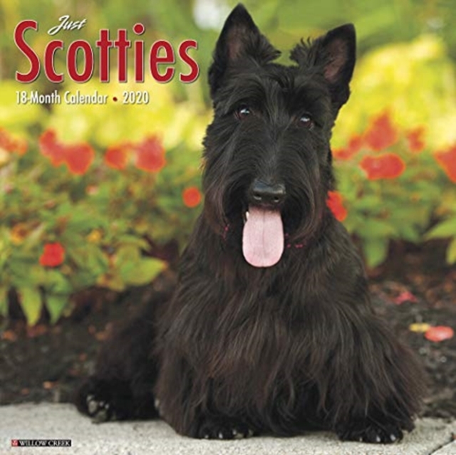 Just Scotties 2020 Wall Calendar (Dog Breed Calendar)