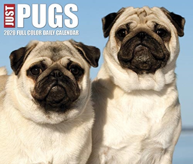 Just Pugs 2020 Box Calendar (Dog Breed Calendar)