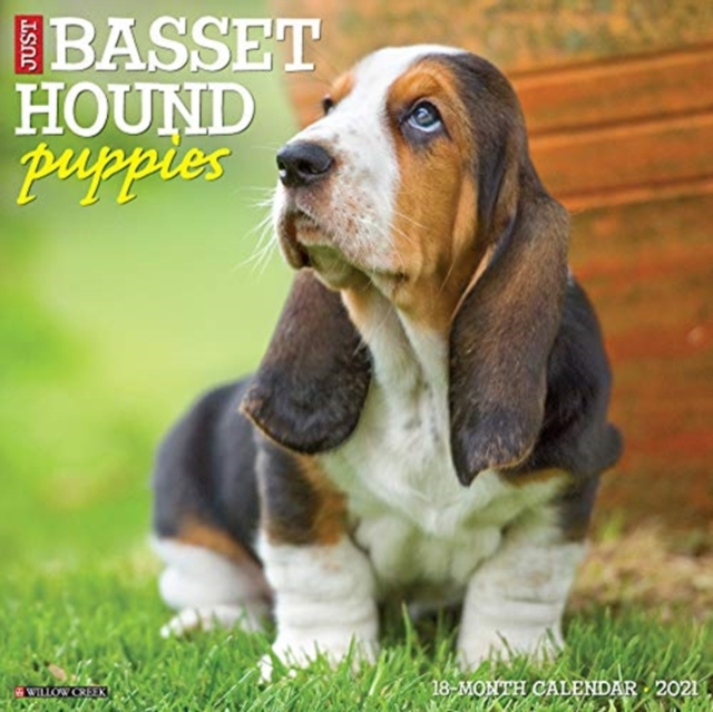Just Basset Hound Puppies 2021 Wall Calendar (Dog Breed Calendar)