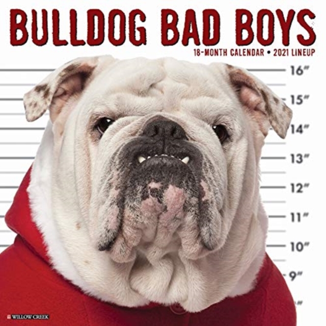 Bulldog Bad Boys 2021 Wall Calendar (Dog Breed Calendar)
