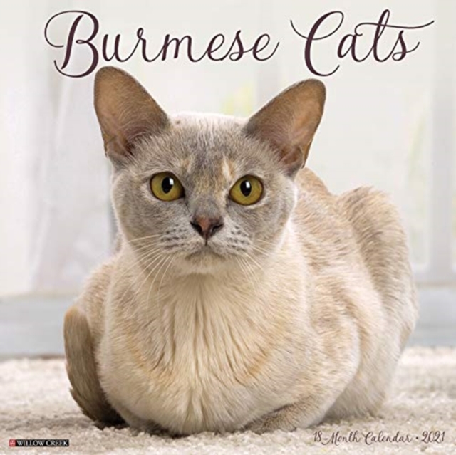 Burmese Cats 2021 Wall Calendar