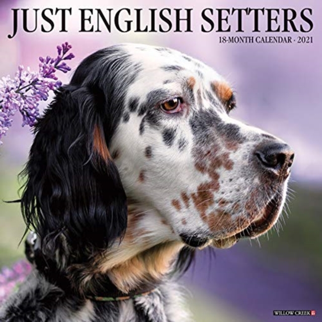 Just English Setters 2021 Wall Calendar (Dog Breed Calendar)
