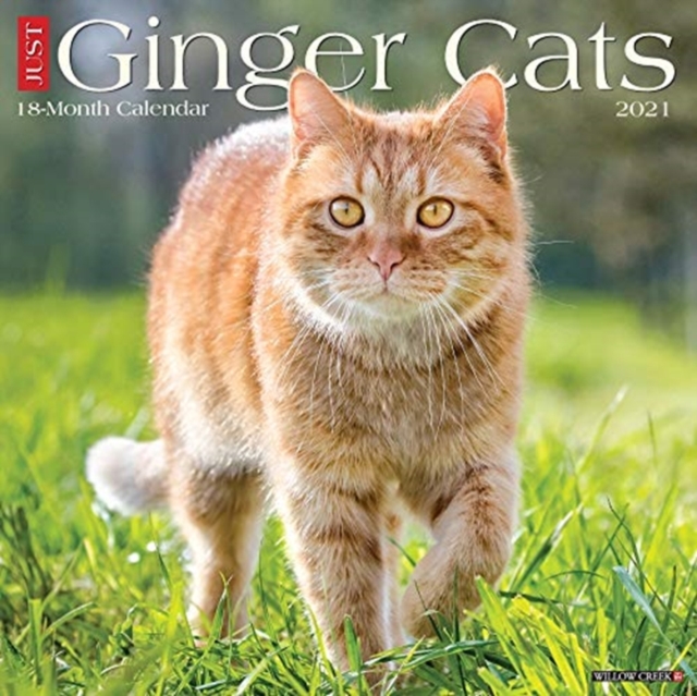 Just Ginger Cats 2021 Wall Calendar