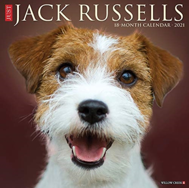 Just Jack Russells 2021 Wall Calendar (Dog Breed Calendar)