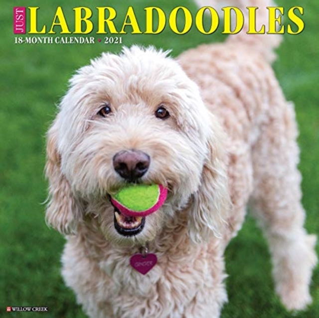Just Labradoodles 2021 Wall Calendar (Dog Breed Calendar)