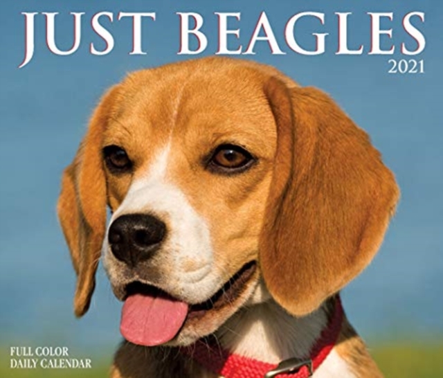 Just Beagles 2021 Box Calendar (Dog Breed Calendar)