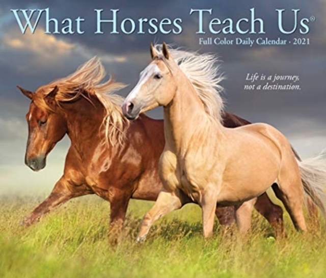What Horses Teach Us 2021 Box Calendar