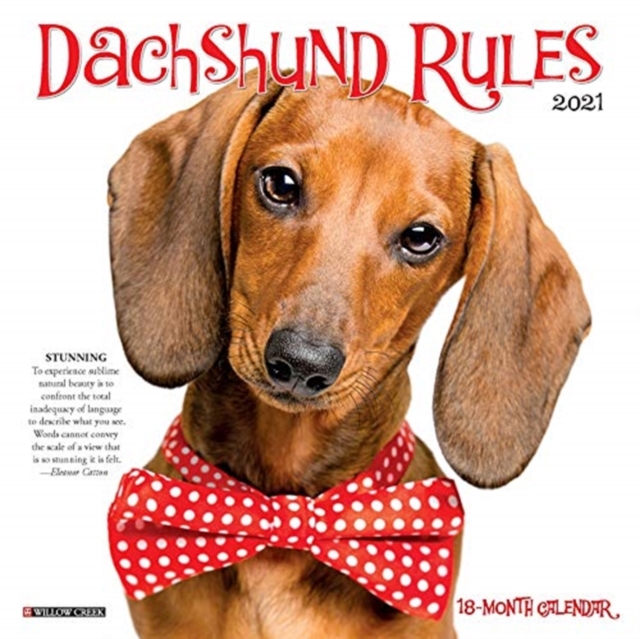 Dachshund Rules 2021 Mini Wall Calendar (Dog Breed Calendar)