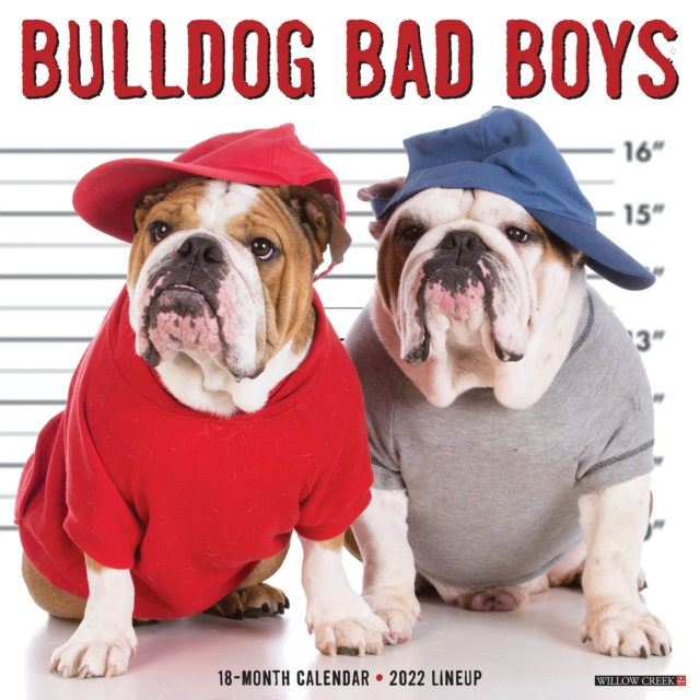 Bulldog Bad Boys 2022 Wall Calendar (Dog Breed)