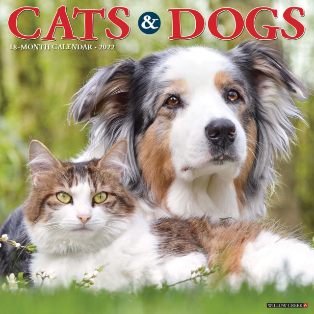 Cats & Dogs 2022 Wall Calendar