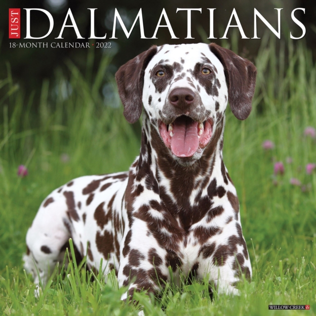 Just Dalmatians 2022 Wall Calendar (Dog Breed)
