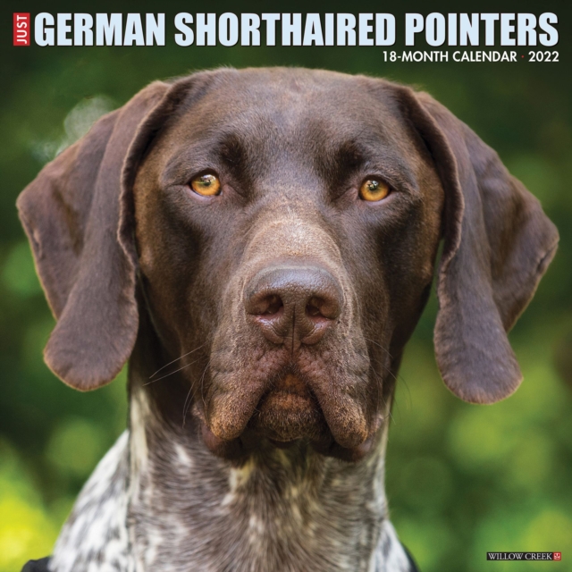 Just German Shorthaired Pointers 2022 Wall Calendar (Dog Breed)
