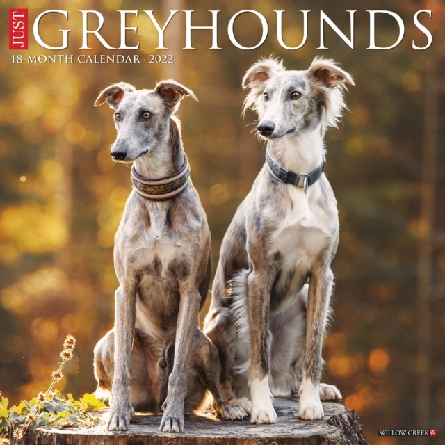 Just Greyhounds 2022 Wall Calendar (Dog Breed)