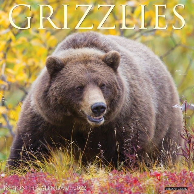 Grizzlies 2022 Wall Calendar (Bears)