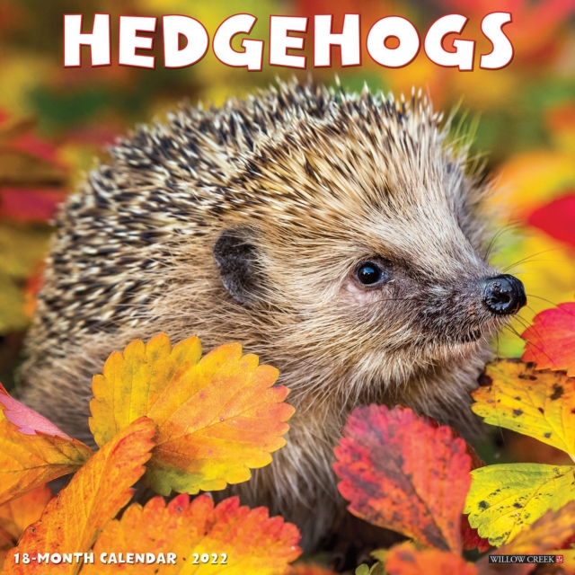 Hedgehogs 2022 Wall Calendar