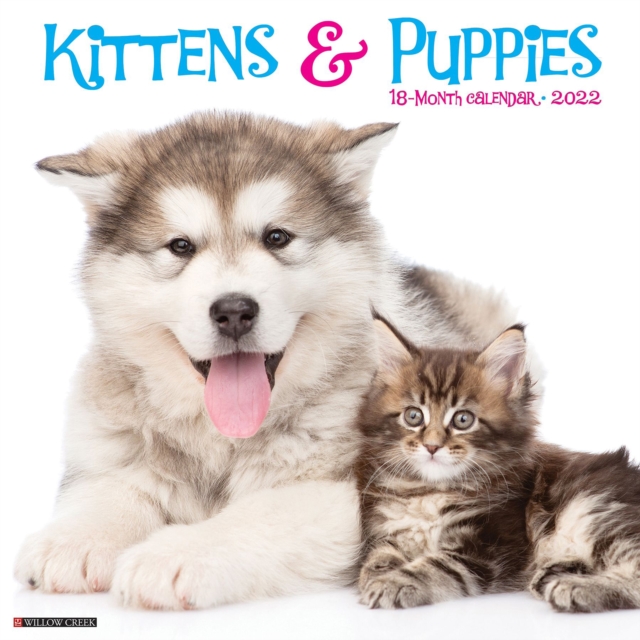 Kittens & Puppies 2022 Wall Calendar