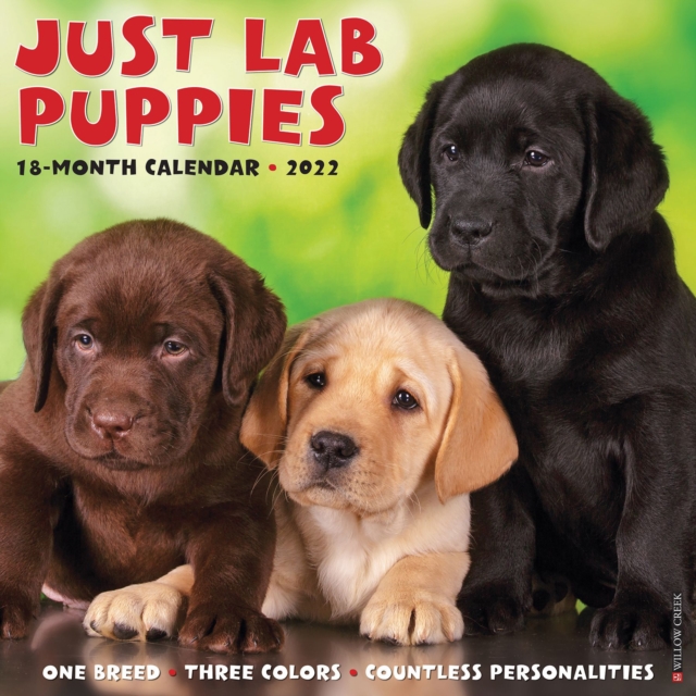 Just Lab Puppies 2022 Wall Calendar (Labrador Retriever Dog Breed)