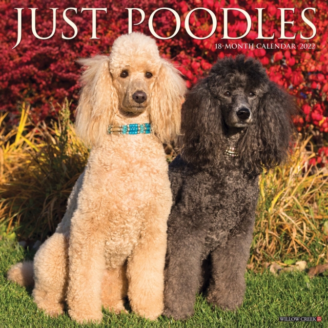 Just Poodles 2022 Wall Calendar (Dog Breed)