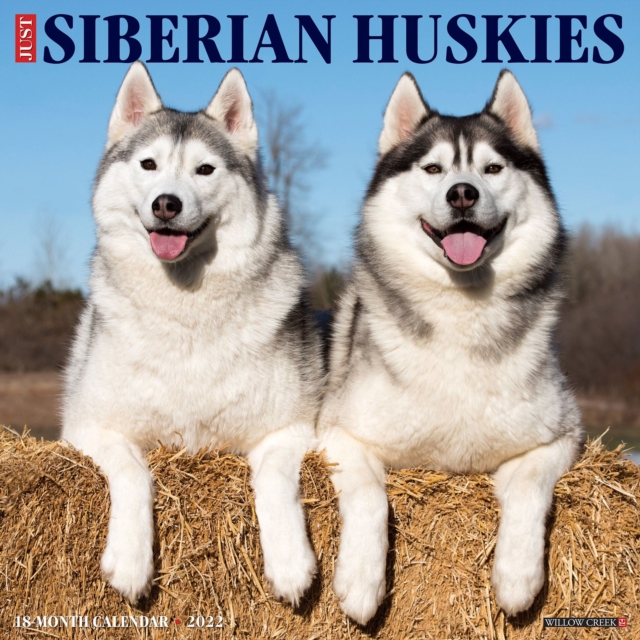 Just Siberian Huskies 2022 Wall Calendar (Dog Breed)