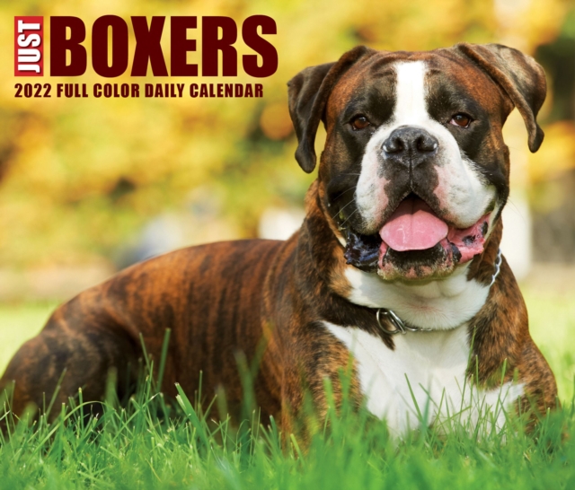 Boxers 2022 Box Calendar - Dog Breed Daily Desktop