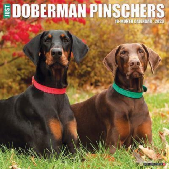 Just Dobermans 2023 Wall Calendar