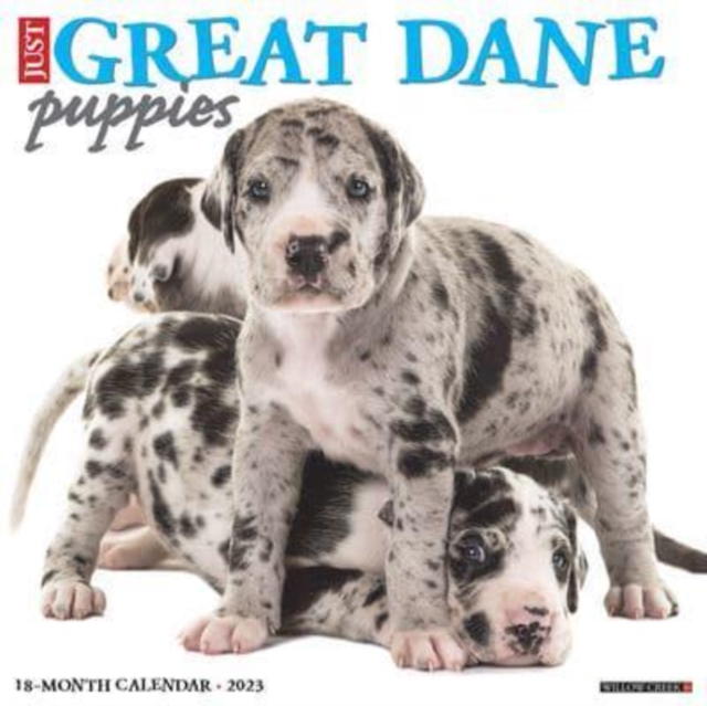 Just Great Dane Puppies 2023 Wall Calendar