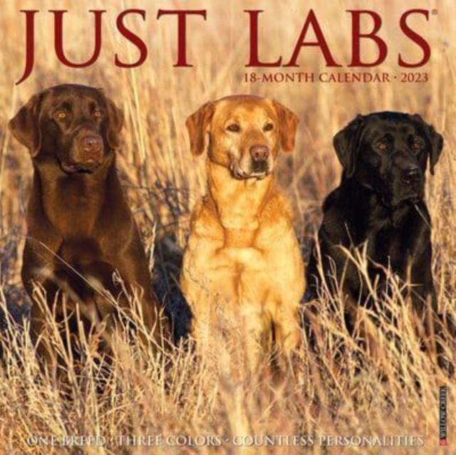 Just Labs 2023 Wall Calendar