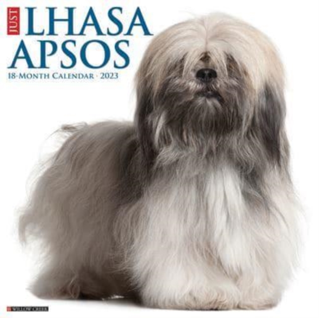 Just Lhasa Apsos 2023 Wall Calendar