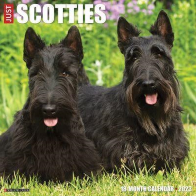 Just Scotties 2023 Wall Calendar