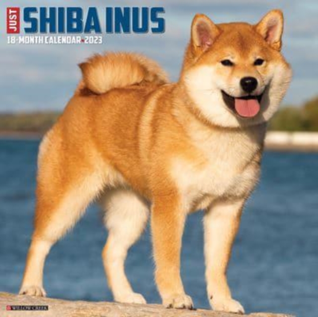 Just Shiba Inus 2023 Wall Calendar