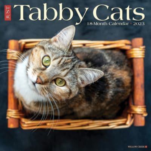 Just Tabby Cats 2023 Wall Calendar