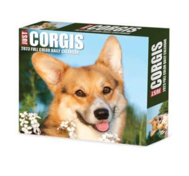 Corgis 2023 Box Calendar