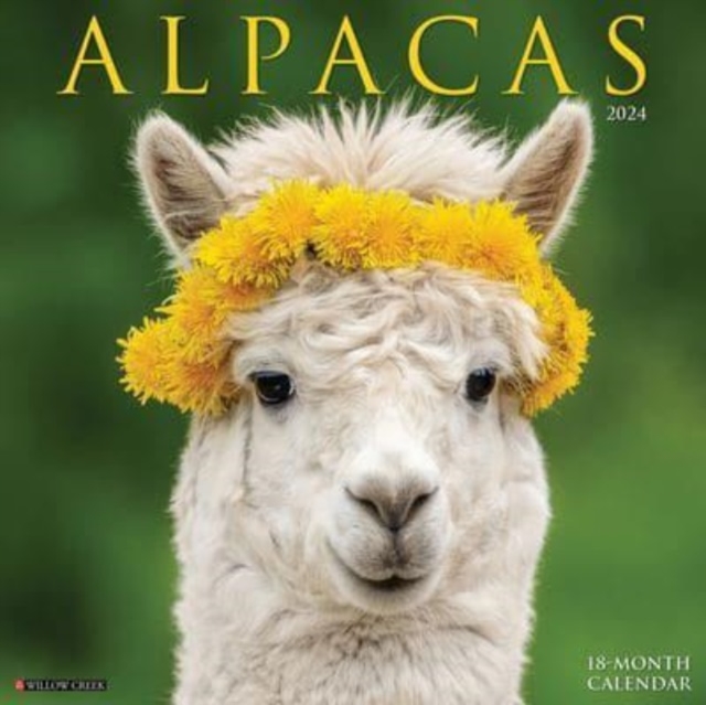 Alpacas 2024 12 X 12 Wall Calendar