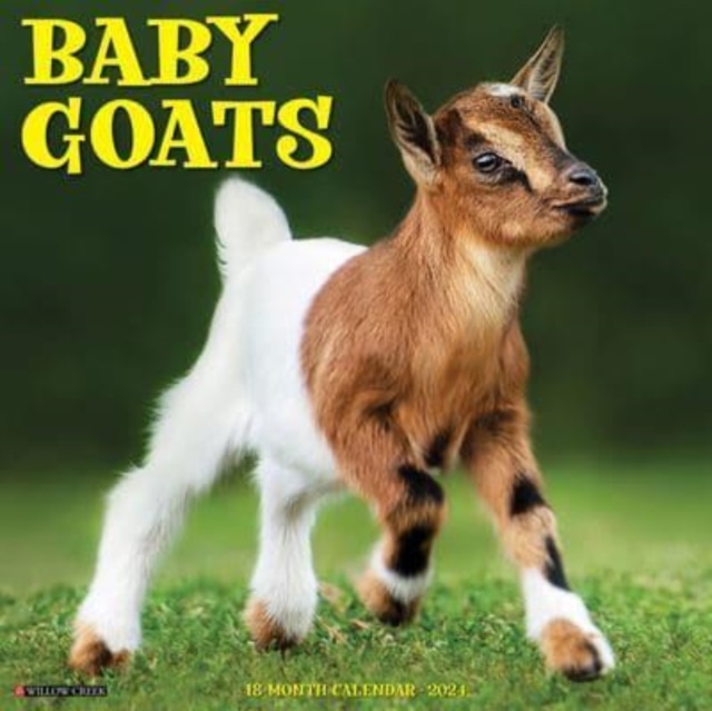 Baby Goats 2024 12 X 12 Wall Calendar
