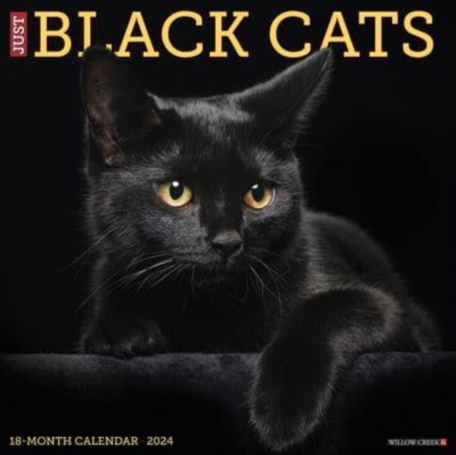 Just Black Cats 2024 12 X 12 Wall Calendar