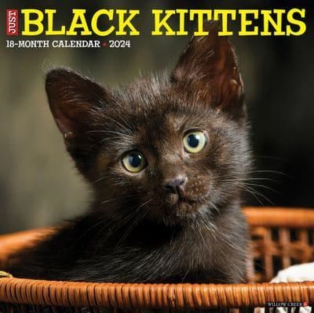 Just Black Kittens 2024 12 X 12 Wall Calendar