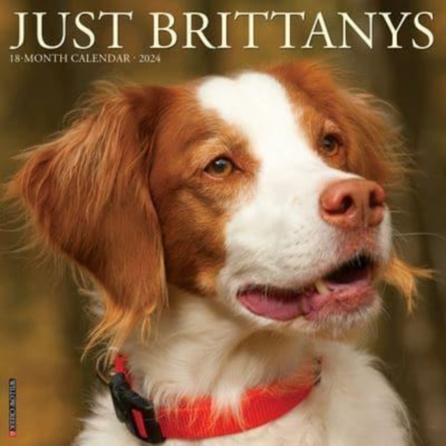 Just Brittanys 2024 12 X 12 Wall Calendar