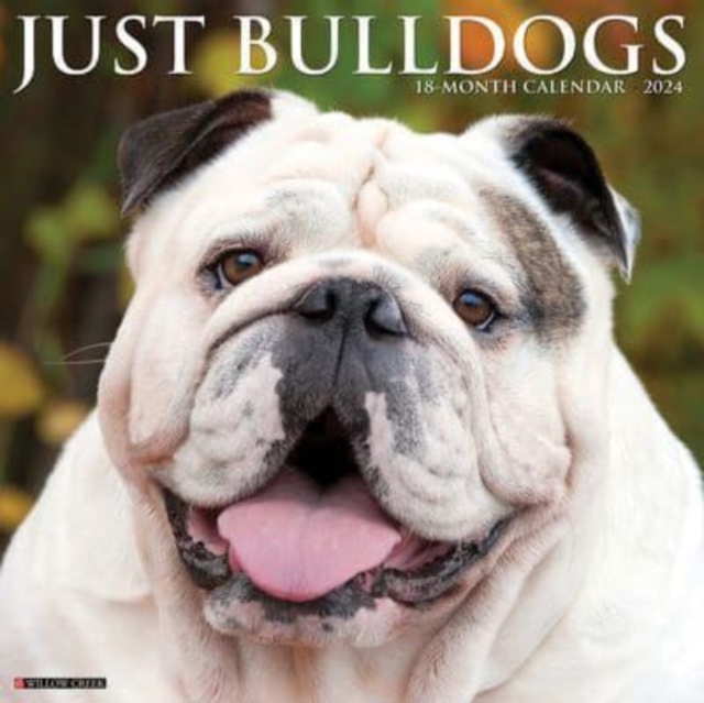 Just Bulldogs 2024 12 X 12 Wall Calendar