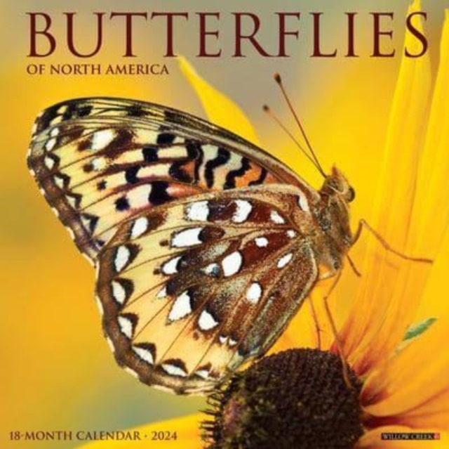 Butterflies 2024 12 X 12 Wall Calendar