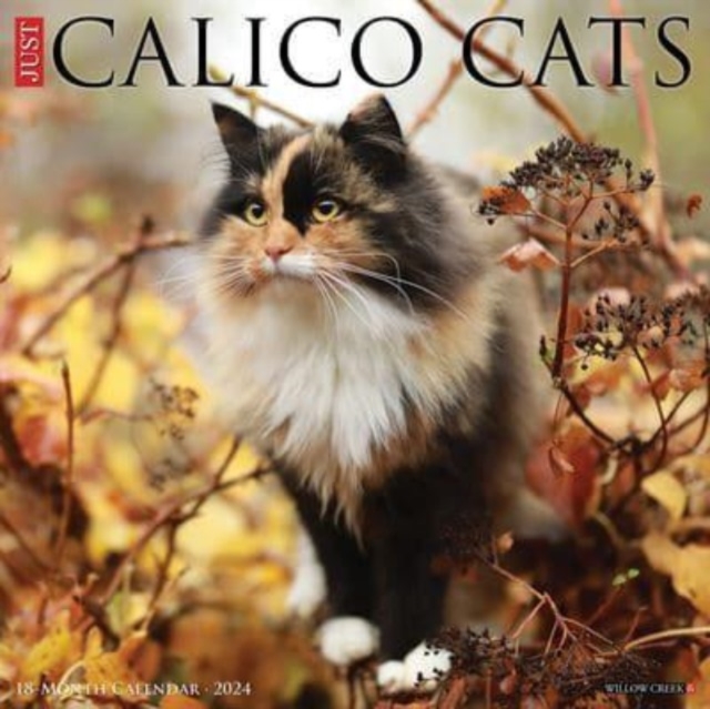 Just Calico Cats 2024 12 X 12 Wall Calendar